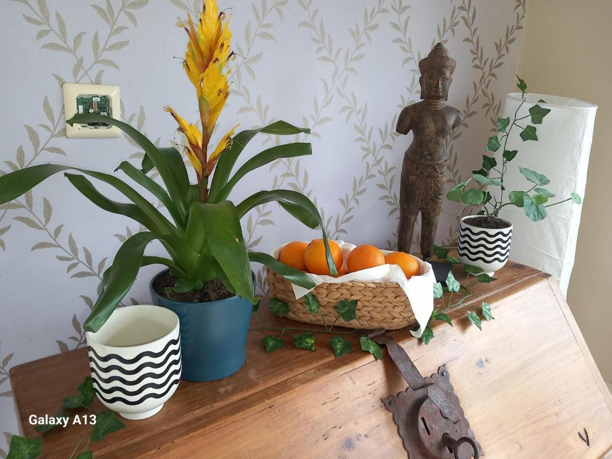 Safe Haven - Luxury Family Couette-café Carlingford